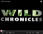 National Geographic Wild Chronicles Video