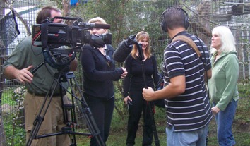 Inside Edition films at Jungle Friends