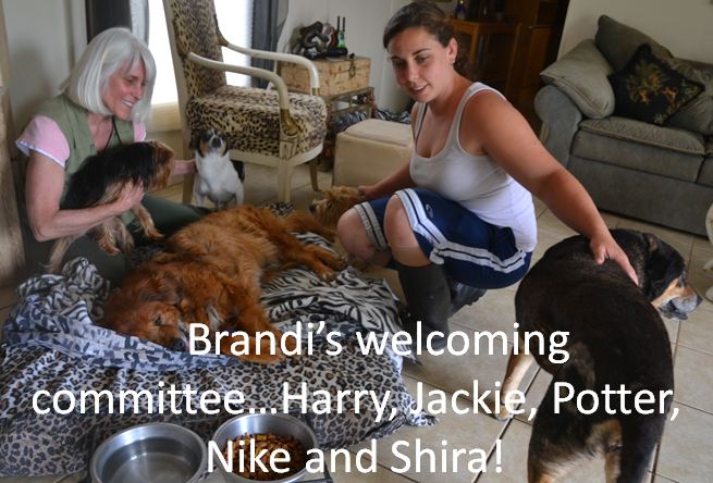 Brandi's welcoming committee