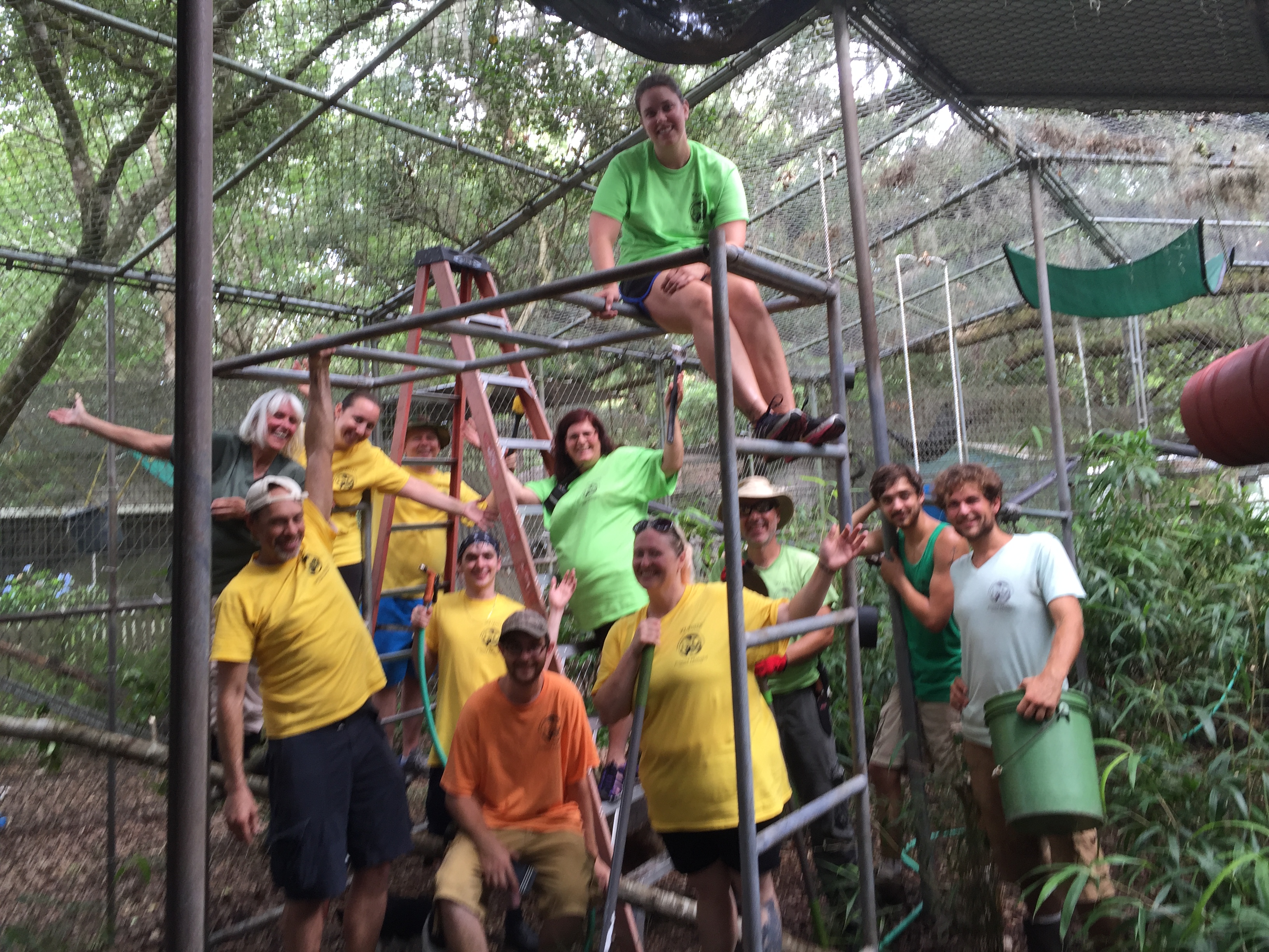 Volunteer Group at Jungle Friends